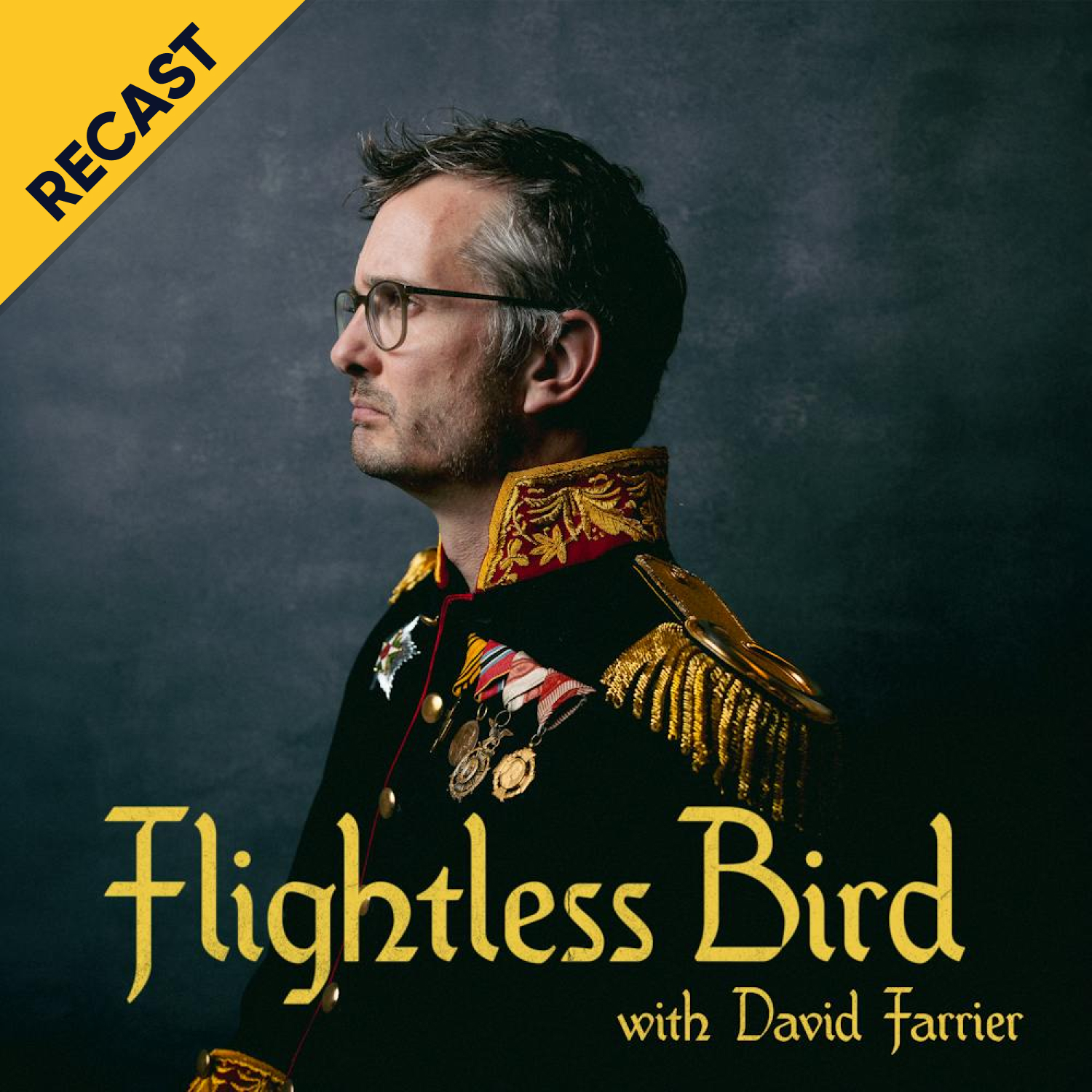 Flightless Bird podcast artwork