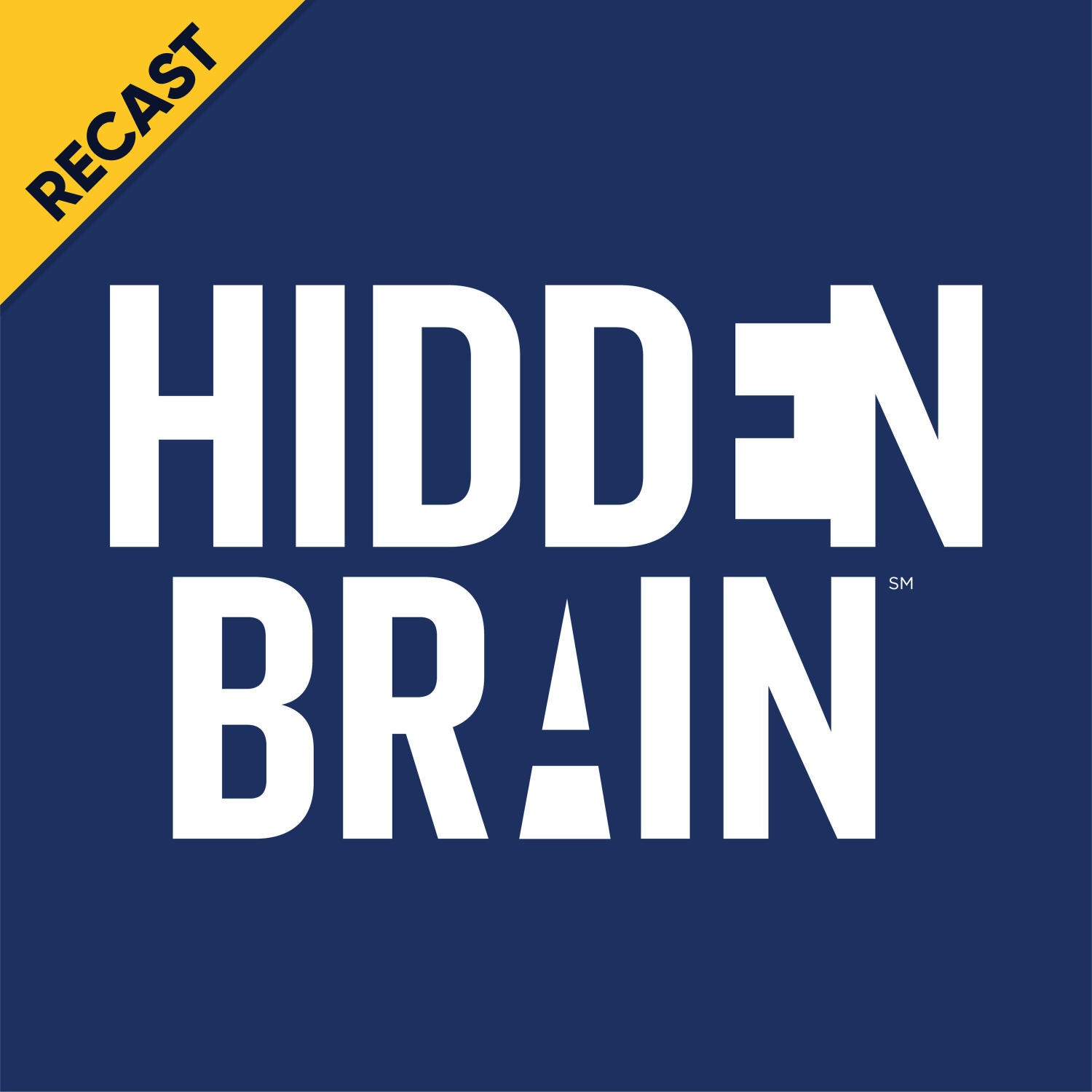 Hidden Brain, Good Vibes podcast artwork